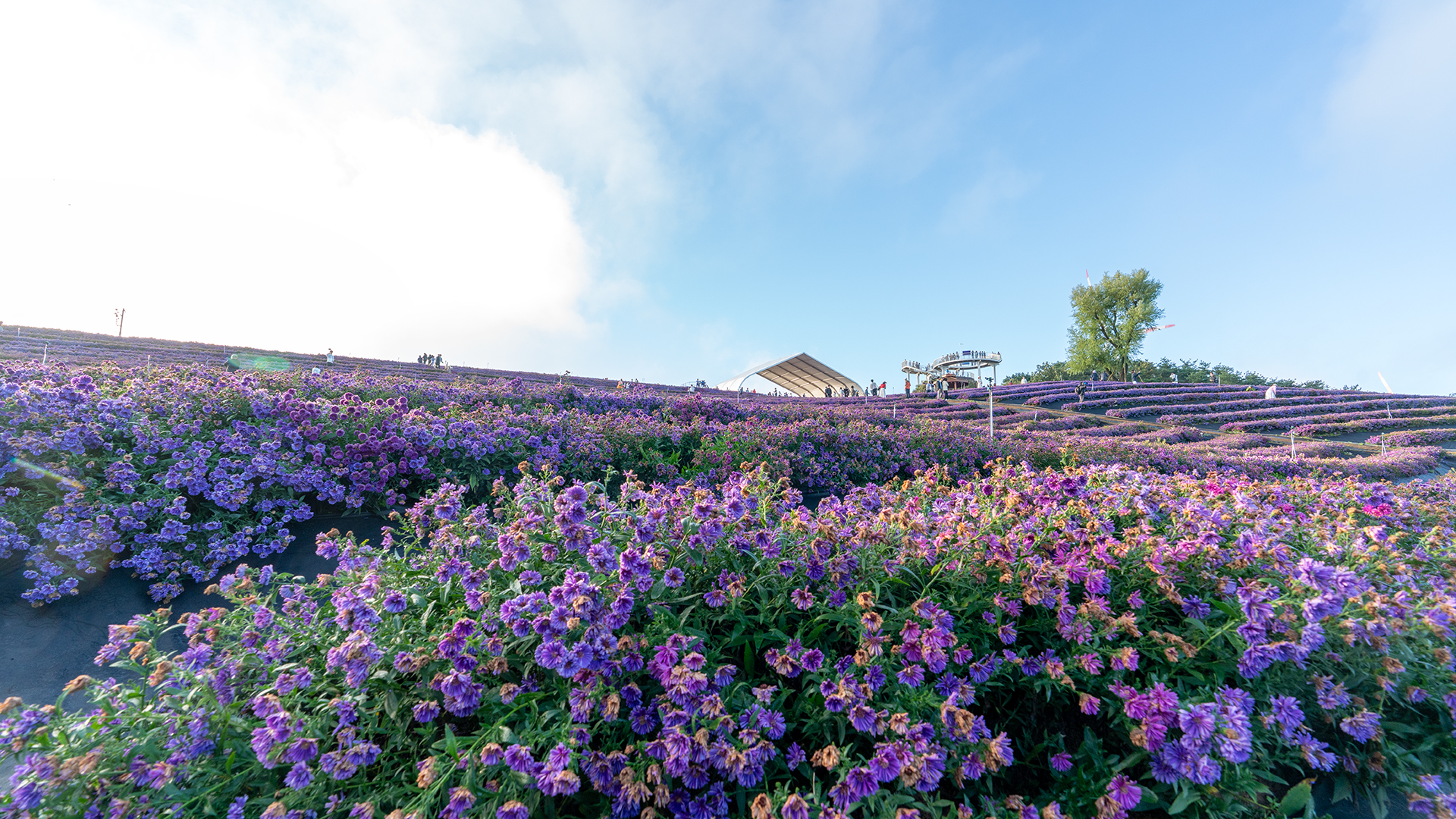 감악산 별바람언덕